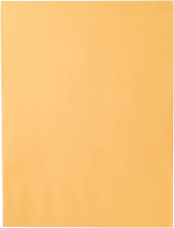 61qfLcEm-2L._AC_SL1500_.jpg Mead Mailing Envelopes, Clasp Closure, 9" X 12", All-Purpose 24-lb Paper, Brown Kraft Material, 20 per Box (76020)
