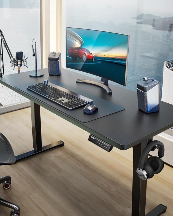 ErGear Height Adjustable Electric Standing Desk, 48 x 24 Inches Sit Stand up Desk, Memory Computer Home Office Desk with Two-Piece Desktop (Black)