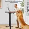 ErGear Height Adjustable Electric Standing Desk, 48 x 24 Inches Sit Stand up Desk, Memory Computer Home Office Desk with Two-Piece Desktop (Black)