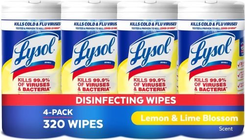 Lysol Disinfectant Wipes, Multi-Surface Antibacterial Cleaning Wipes, For Disinfecting and Cleaning, Lemon and Lime Blossom, Pack of 4 (Packaging may vary)