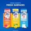 Lysol Disinfecting Wipes Bundle, Home Apartment Dorm Room Essentials and Cleaning Supplies, All Purpose Cleaner, Multi-surface Cleaning Wipes, Multi-Scent Sanitizing Wipes Bundle, 80 Count (4pk)