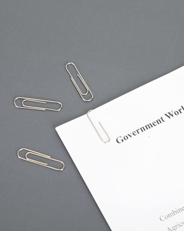 PAPERPAL #1 Nonskid Paper Clips, 600 Medium Paperclips for Office School & Personal Use, Daily DIY, 1-2/7" Silver Heavy Duty Non-Skid Paper Clip Standard Size(6 Boxes of 100 Each)