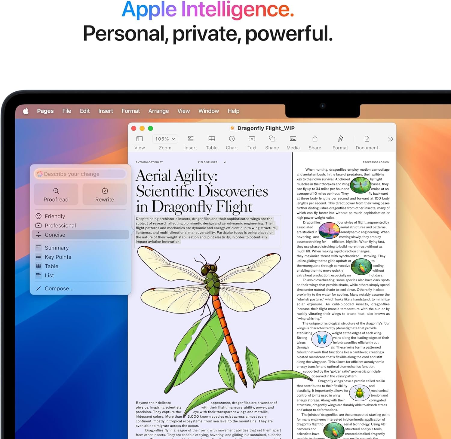 Apple 2025 MacBook Air 13-inch Laptop with M4 chip Built for Apple Intelligence, 13.6-inch Liquid Retina Display, 16GB Unified Memory, 512GB SSD Storage, 12MP Center Stage Camera, Touch ID; Midnight - Image 5