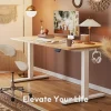Fezibo Electric Standing Desk Adjustable Height, 55 X 24 Inch Sit And Stand Desk, Home Office Desk, Ergonomic Workstation