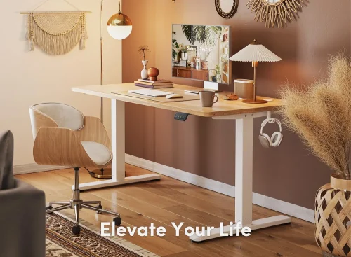 Fezibo Electric Standing Desk Adjustable Height, 55 X 24 Inch Sit And Stand Desk, Home Office Desk, Ergonomic Workstation