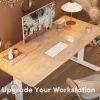 Fezibo Electric Standing Desk Adjustable Height, 55 X 24 Inch Sit And Stand Desk, Home Office Desk, Ergonomic Workstation