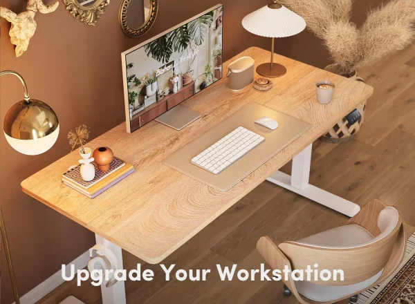 Fezibo Electric Standing Desk Adjustable Height, 55 X 24 Inch Sit And Stand Desk, Home Office Desk, Ergonomic Workstation