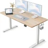 Fezibo Electric Standing Desk Adjustable Height, 55 X 24 Inch Sit And Stand Desk, Home Office Desk, Ergonomic Workstation