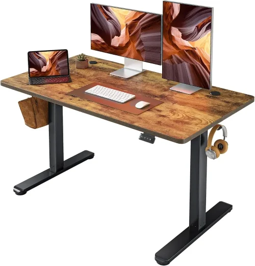 Electric Standing Desk Adjustable Height, 48 x 24 Inch Sit and Stand Desk, Home Office Desk, Ergonomic Workstation Computter