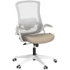 High Back Mesh Chair Adjustable Height and Ergonomic Design Home Office Computer Desk Chair