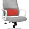 Giantex High Back Mesh Office Chair With Heating Headrest And Lumbar Support Armrest, Ergonomic Computer Desk Chair, Executive
