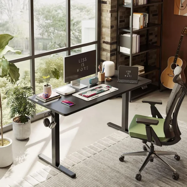 Electric Standing Desk Adjustable Height, 55 x 24 Inch Sit and Stand Desk, Home Office Desk, Ergonomic Workstation